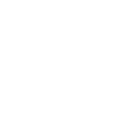 Bild konnte nicht geladen werden